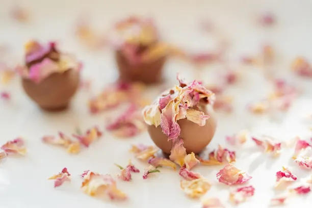 Coin365Bet Kasino Android/iOS aplikace